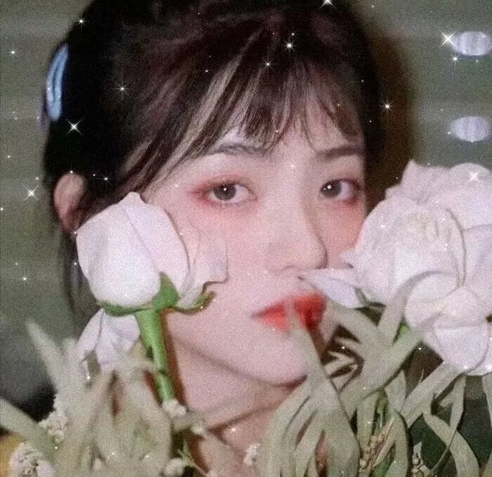 甄子丹明星照片